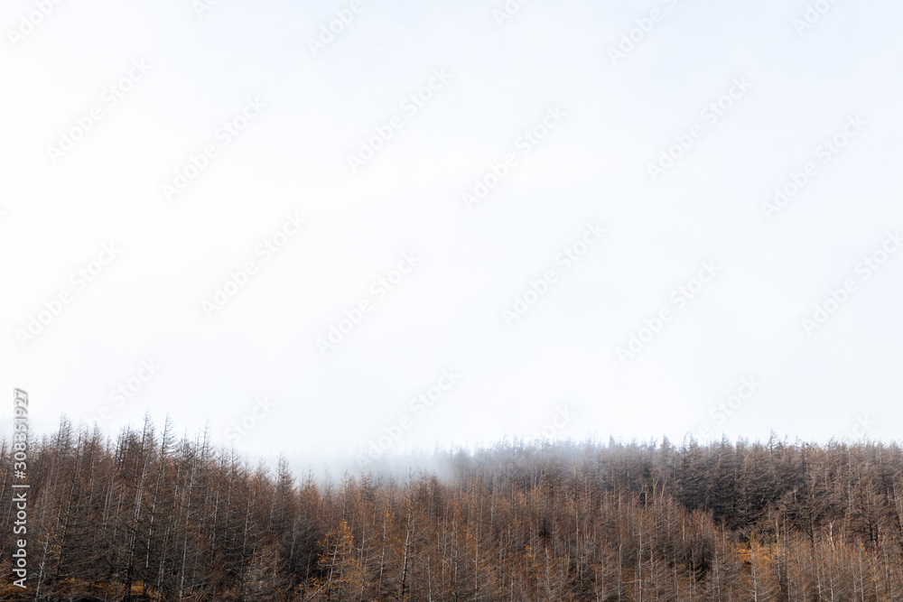 hill in winter hill in winter