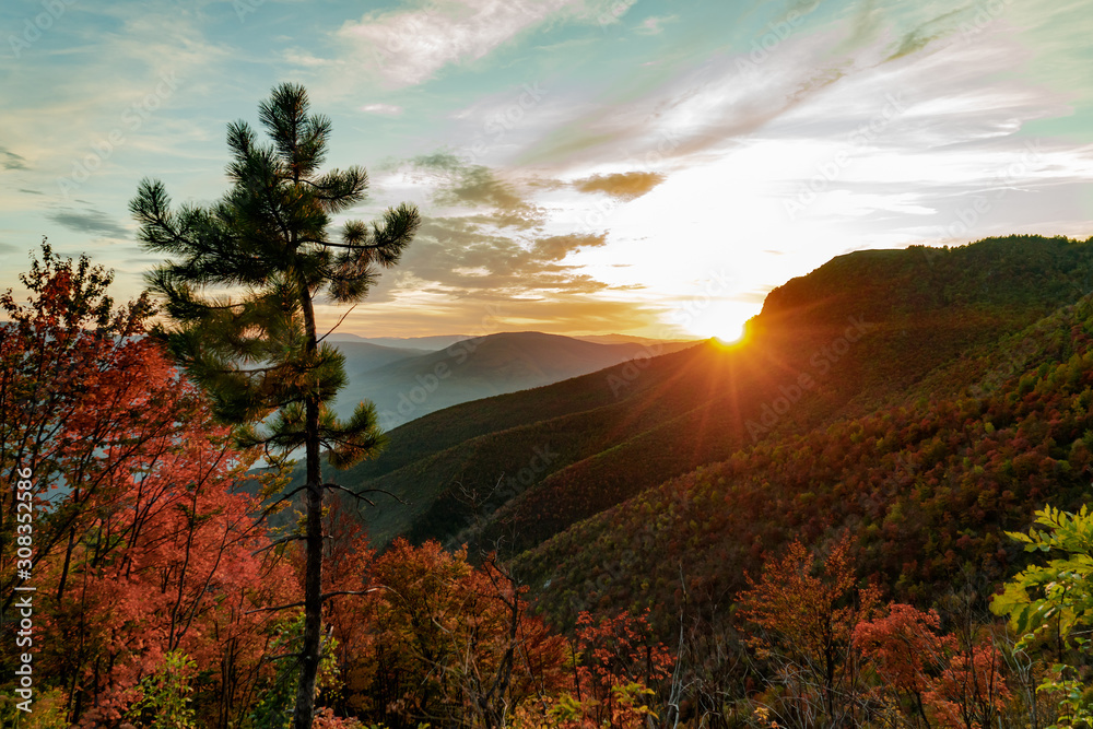 Beautiful orange and red autumn forest Beautiful orange and red autumn forest