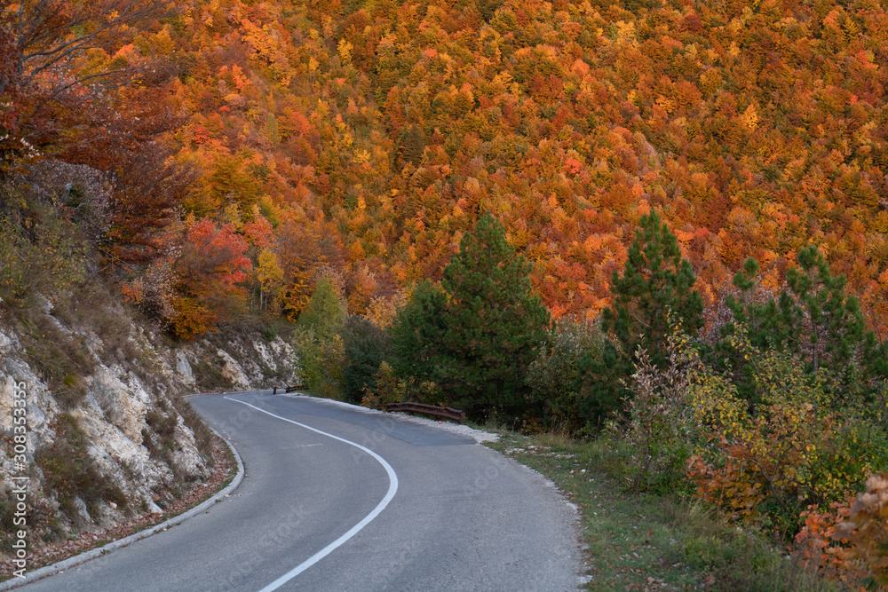 Asphalt mountain road among the yellow autumn trees and high rocks Asphalt mountain road among the yellow autumn trees and high rocks