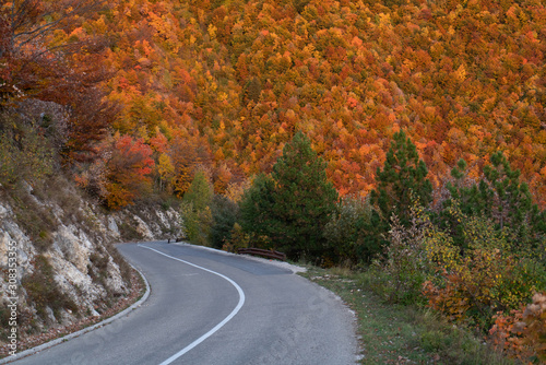 Asphalt mountain road among the yellow autumn trees and high rocks