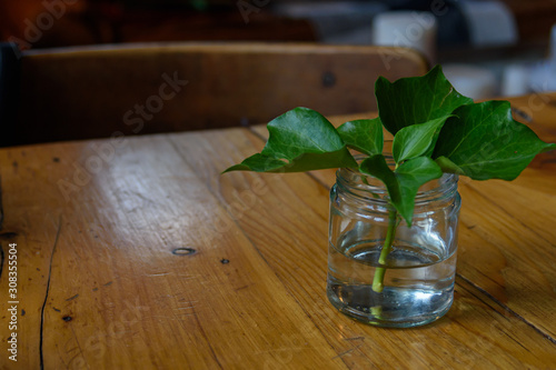 Florero sencillo con planta en mesa de madera