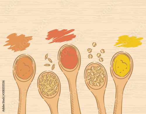 Spices on spoons for curry.