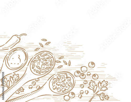Spices on spoons for curry.