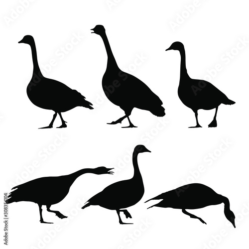 Vector silhouettes of canadian geese.