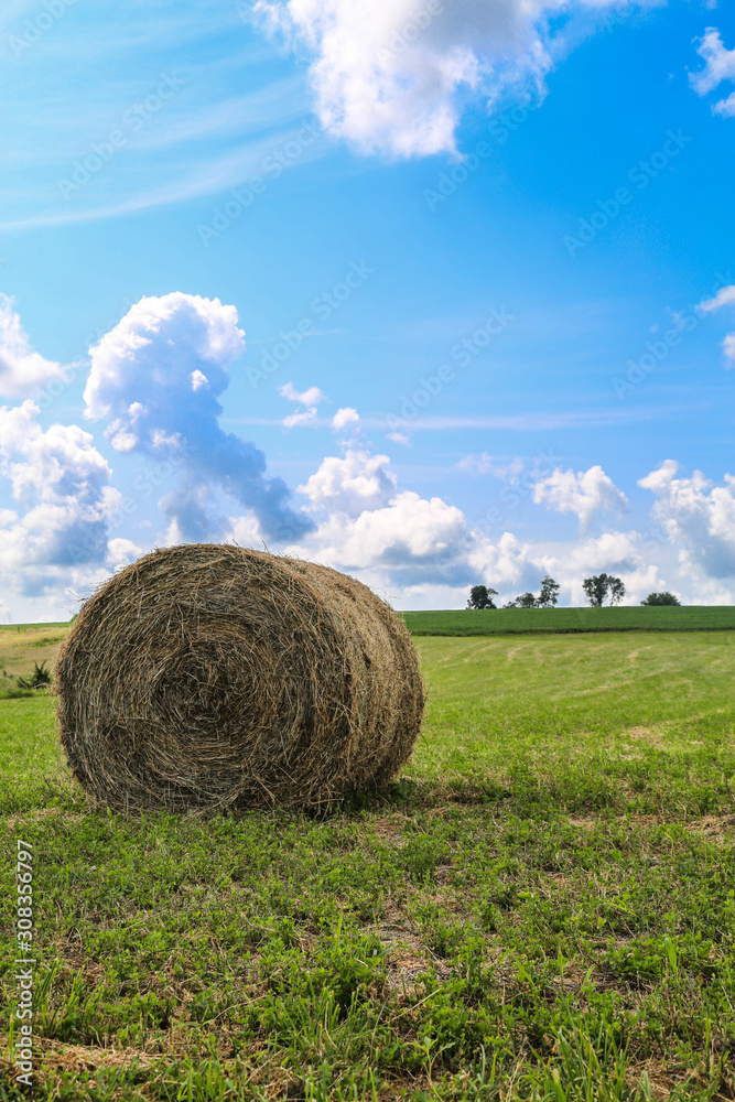 Bale of Hay in Field With Blue Sky Bale of Hay in Field With Blue Sky