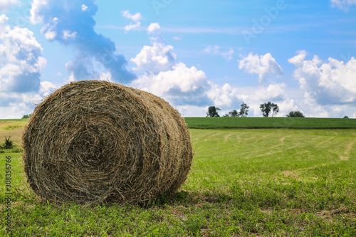 Photo Bale of Hay in Meadow With Blue Sky