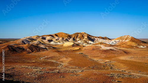 Amazing color of Kalaya (Emu) in Kanku-Breakaway Conservation Park, South Australia, Australia