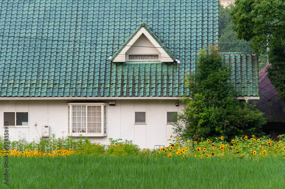 緑色の屋根のお洒落な建物と黄色い花畑 Stock Photo Adobe Stock 緑色の屋根のお洒落な建物と黄色い花畑 Stock Photo Adobe Stock