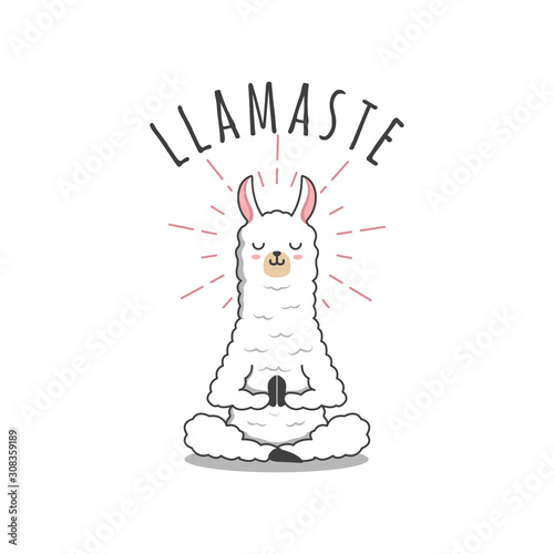 Cute llama yoga pose namaste