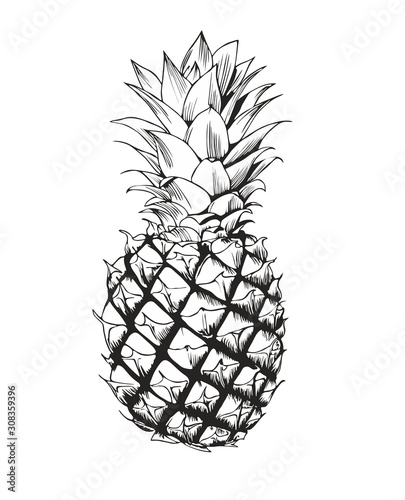 Black-and-white hand drawing of a pineapple in a vector