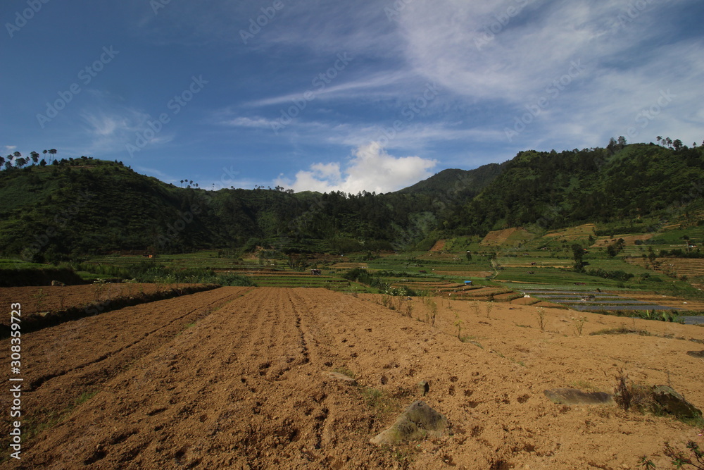 agriculture on the slopes of the mountains under the blue sky agriculture on the slopes of the mountains under the blue sky