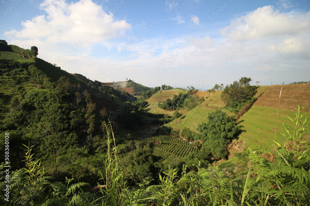 agriculture on the slopes of the mountains under the blue sky
