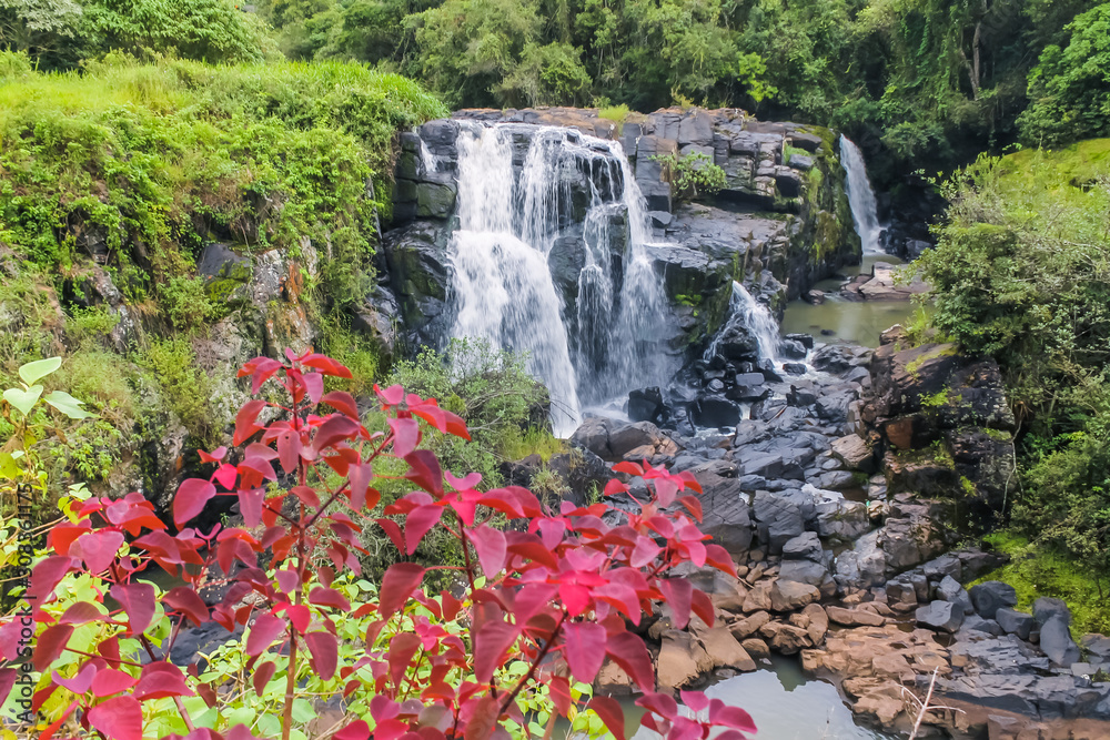 Beautiful waterfall with red flowers in Poços de Caldas - Minas Gerais - Brazil