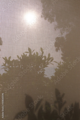 window