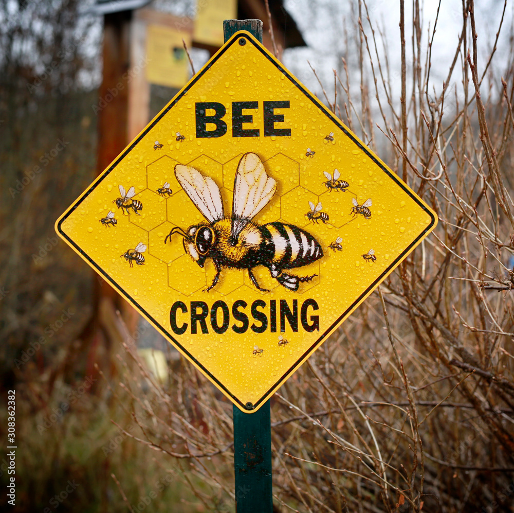 Bee crossing sign, Wye Marsh Wildlife Centre, Ontario, Canada Photos |  Adobe Stock