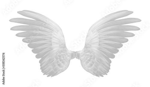 white wings on white background