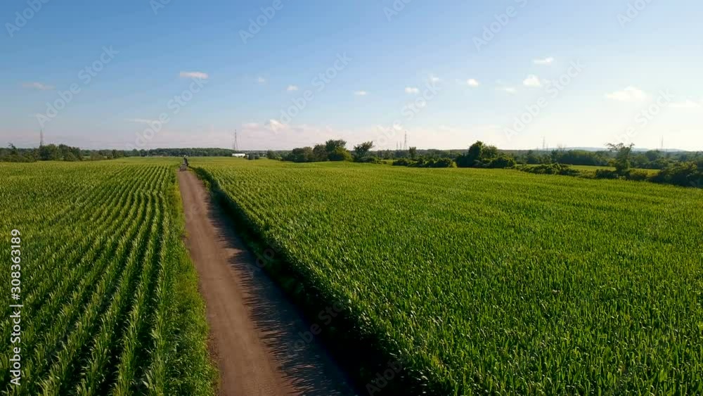 Summer Crops in Canadian Farm Land Aerial Background Summer Crops in Canadian Farm Land Aerial Background