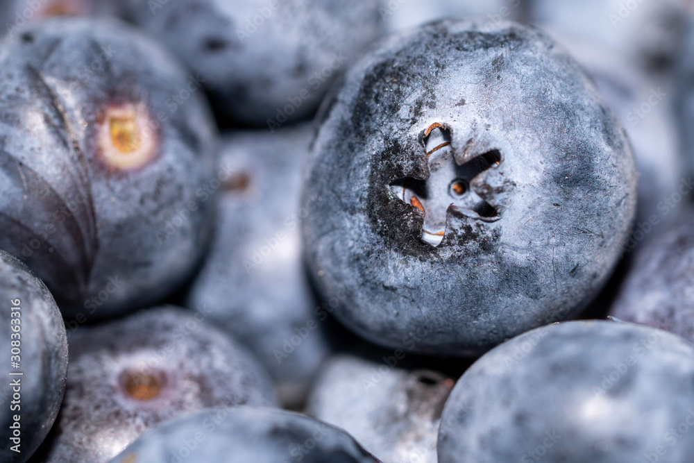 Bunch of Blueberries wet background macro close up. Bunch of Blueberries wet background macro close up.