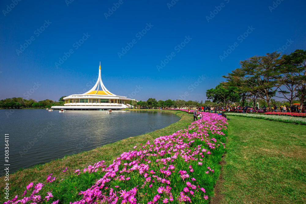 Nature Background Gold Flower Field Colorful tulips, which are used to decorate the garden during the cold weather, with the blurring of sunshine, natural beauty Nature Background Gold Flower Field Colorful tulips, which are used to decorate the garden during the cold weather, with the blurring of sunshine, natural beauty