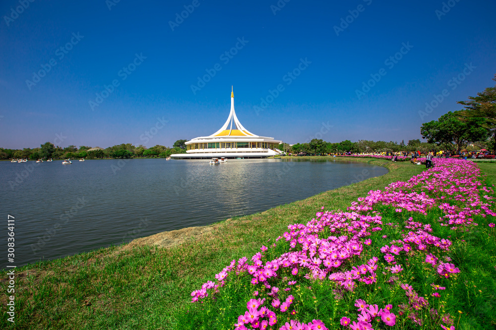 Nature Background Gold Flower Field Colorful tulips, which are used to decorate the garden during the cold weather, with the blurring of sunshine, natural beauty Nature Background Gold Flower Field Colorful tulips, which are used to decorate the garden during the cold weather, with the blurring of sunshine, natural beauty