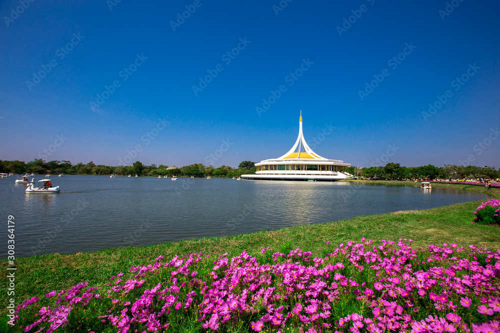 Nature Background Gold Flower Field Colorful tulips, which are used to decorate the garden during the cold weather, with the blurring of sunshine, natural beauty Nature Background Gold Flower Field Colorful tulips, which are used to decorate the garden during the cold weather, with the blurring of sunshine, natural beauty