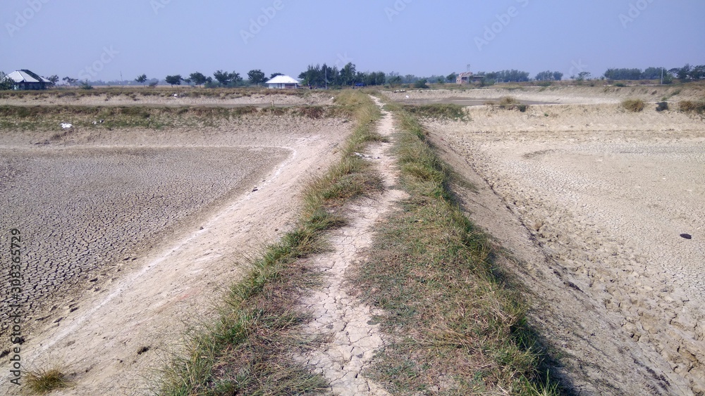 Naklejka premium Shrimp farm, Prawn farming. dried crack thick mud earth floor shrimp farm pond.