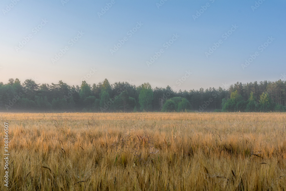 Dawn in the field. Pskov region. Russia Dawn in the field. Pskov region. Russia