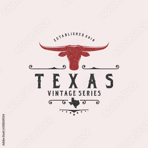 Texas state textured vintage vector t-shirt and apparel design, typography, print, logo, poster. Global swatches.