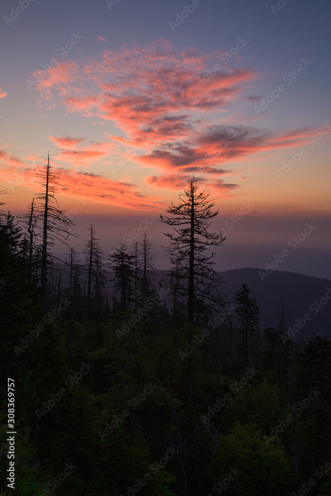 Sunrise, Clingmans Dome, Great Smoky Mountains Sunrise, Clingmans Dome, Great Smoky Mountains