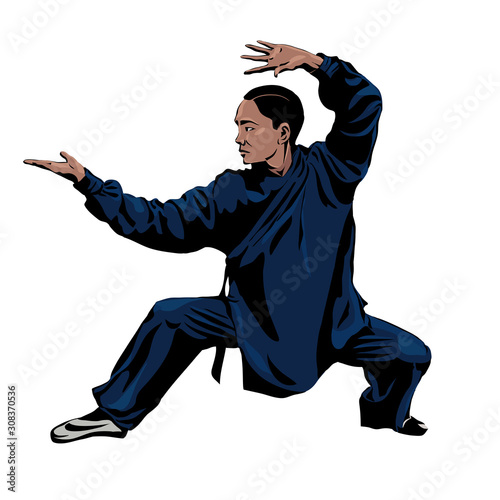 Vector illustration. Man practice Wushu or kung fu and Taekwondo  isolated on white background.
