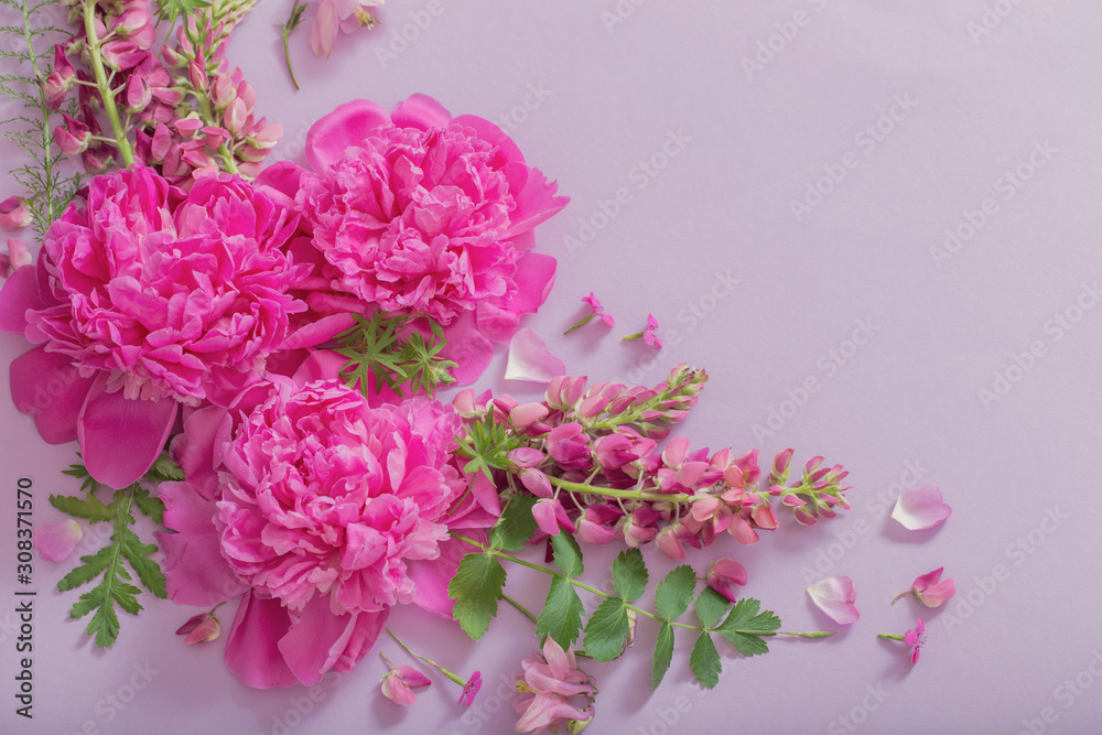 pink beautiful flowers on pink paper background