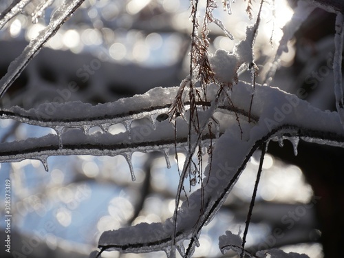 Extreme close up of twigs covered with ice, with bokeh in the background