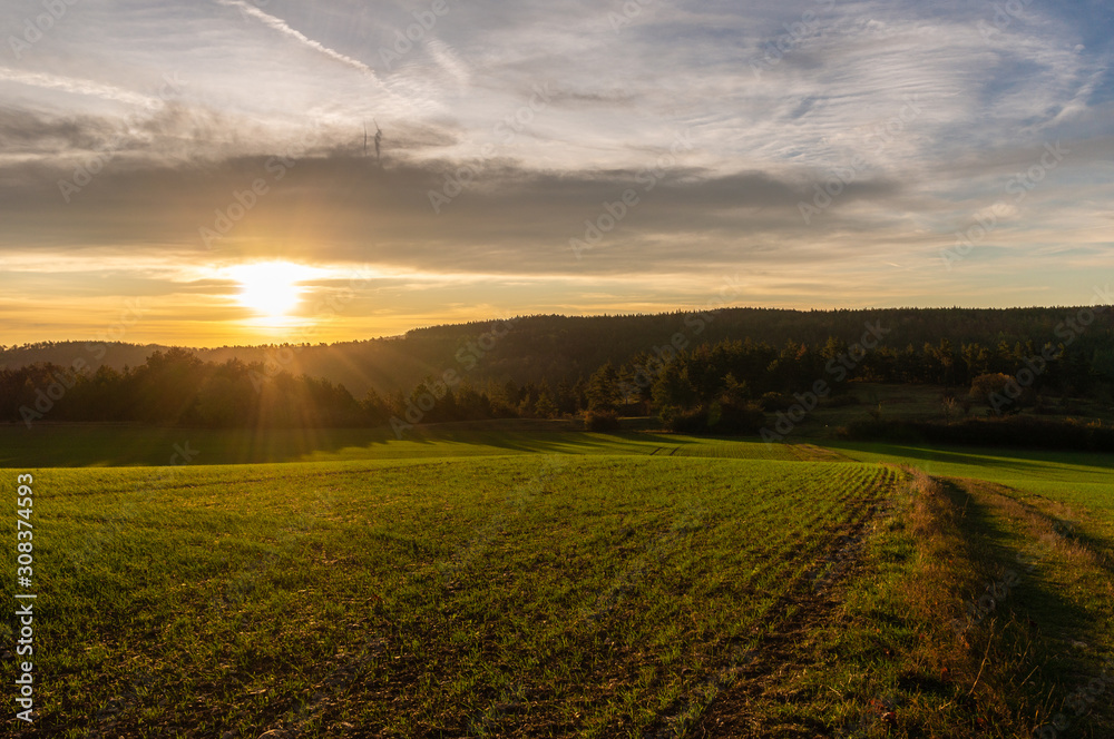 Fototapeta premium Herbstwald