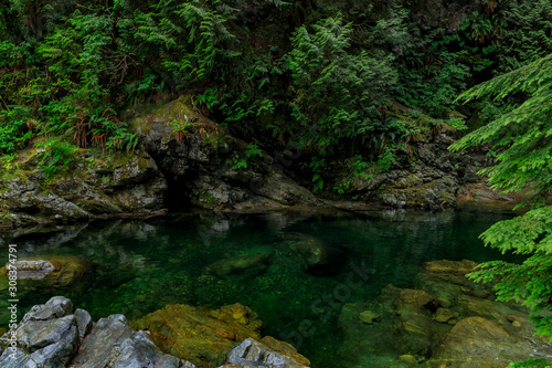 Pine trees reflecting in the crystal clear water of a lake on a cloudy day in Lynn Canyon Park forest  Vancouver  Canada