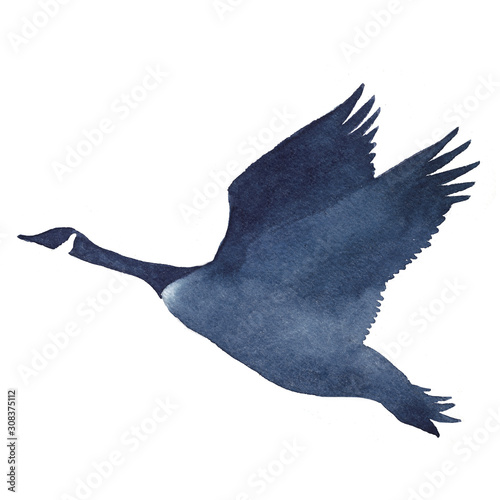 Watercolor silhouettes of flying geese on a white background