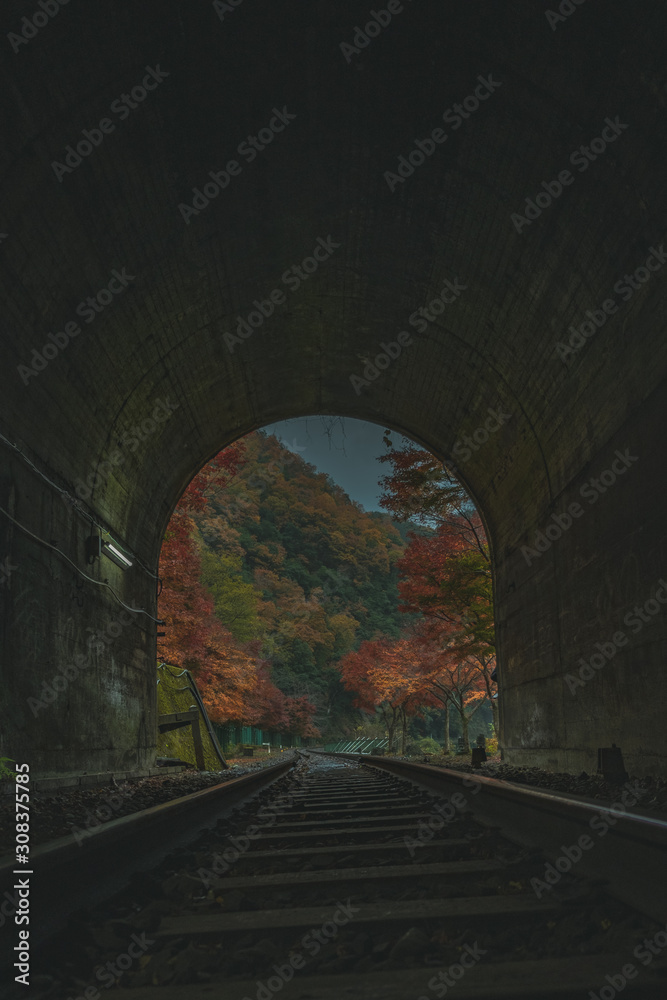 Fototapeta Kioto Jesienne liście Hozukyo Hozugawa Sagano Zwiedzanie Ciężarówka kolejowa Pociąg Materiał reklamowy Tekstura