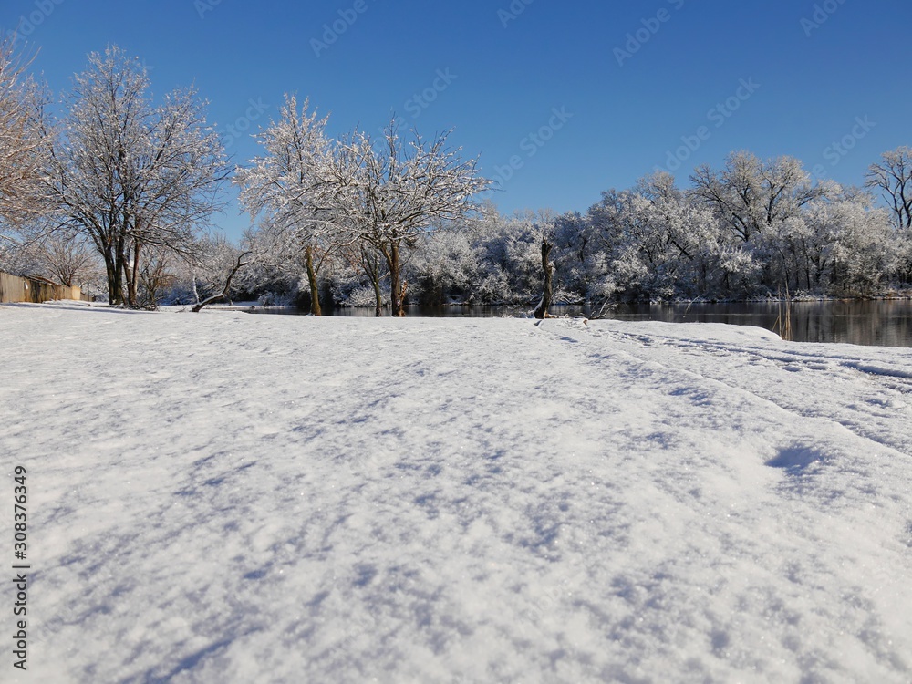 Tranquil winter morning scene by the pond, with freshly fallen snow covering the ground Tranquil winter morning scene by the pond, with freshly fallen snow covering the ground