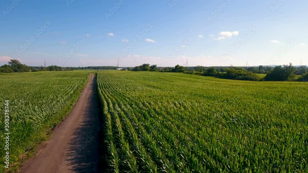 Aerial view of summer crops in Canadian farm land & car on the road Aerial view of summer crops in Canadian farm land & car on the road