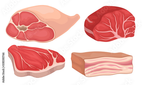 Meat Collection, Meat Parts Assortment, Fresh Organic Farm Products Vector Illustration