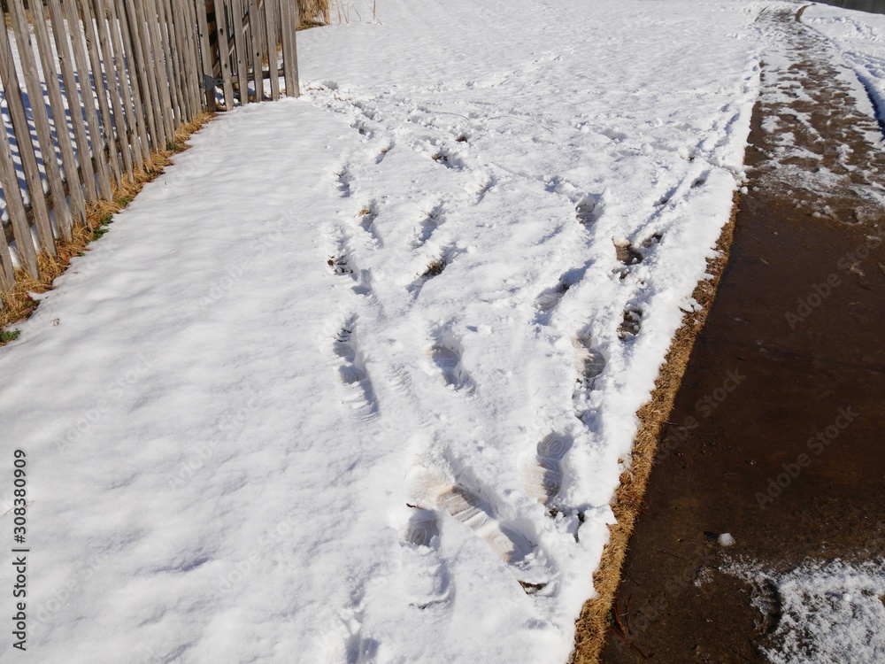 Fresh shoeprints in the snow by a wooden fence