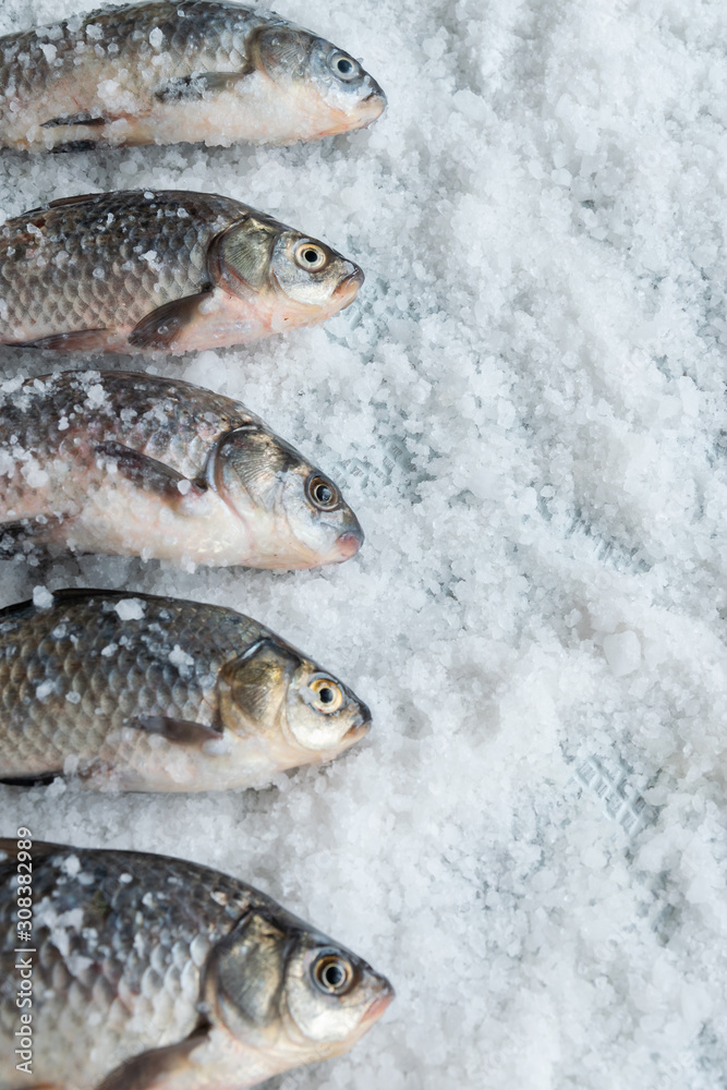 Raw fishes on salty background. Healthy eating ingredient Raw fishes on salty background. Healthy eating ingredient