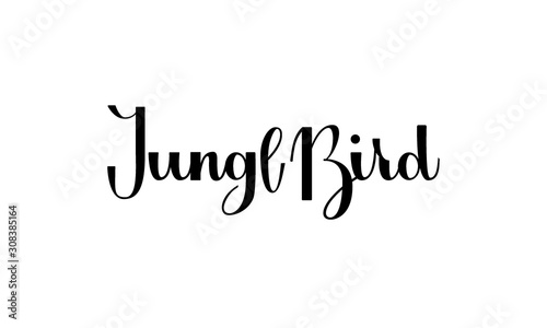Lettering Jungl Bird isolated on white background for print, design, bar, menu, offers, restaurant. Modern hand drawn lettering label for alcohol cocktail Jungl Bird. Handwritten inscriptions photo