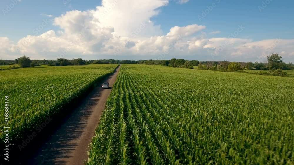 Aerial view of summer crops in Canadian farm land & car on the road Aerial view of summer crops in Canadian farm land & car on the road