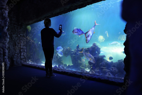 Woman taking photo of fish in oceanarium