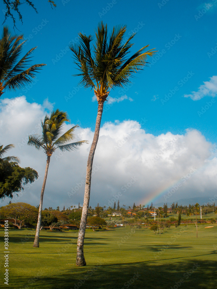 Two palm trees on a golf course and a rainbow in the background