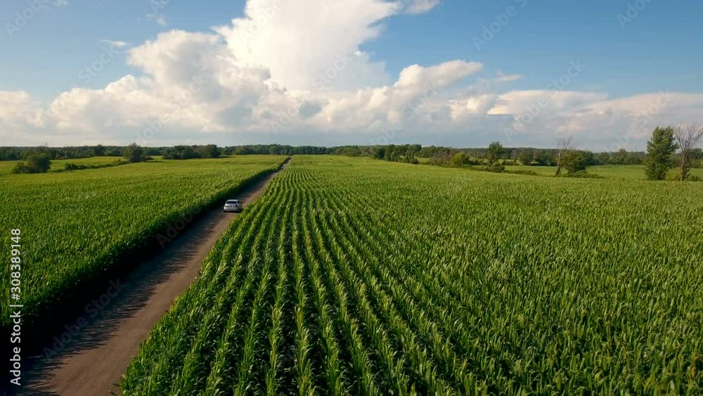 Aerial view of summer crops in Canadian farm land & car on the road