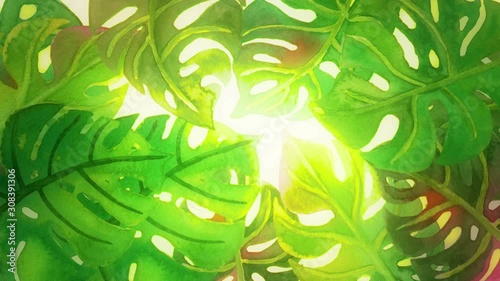 Abstract background with hand drawn watercolor tropical palm leaves. Seamless looping 4K footage. 