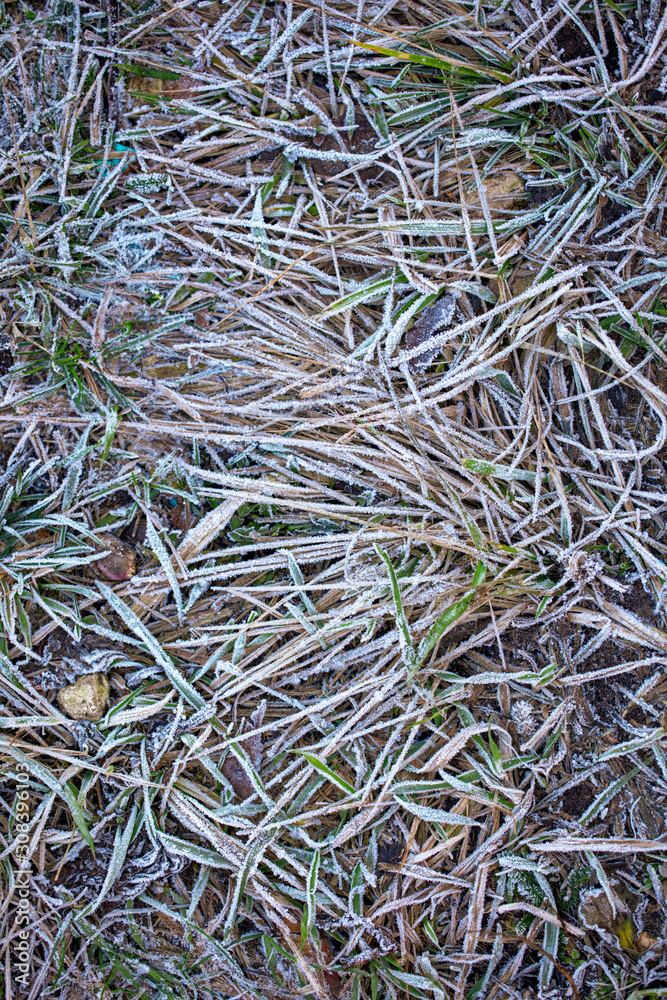 Hoarfrost on the grass as an abstract background Hoarfrost on the grass as an abstract background