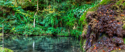 Oasis with lake and rock into green forest. 