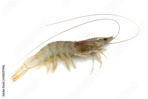 fresh shrimps or prawns raw isolated on white background.ready for cooking. © Sakoodter Stocker